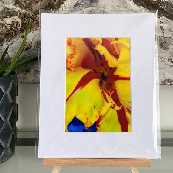 “JAUNE” ~ ORIGINAL ART by ~ @lisamichellebeckerphotography - Picture 8 of 12